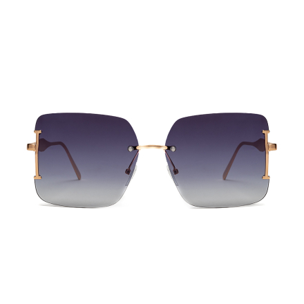 Premium 2262-C1 z etui