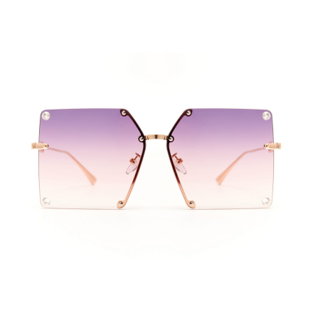 Premium 2179-C3 z etui