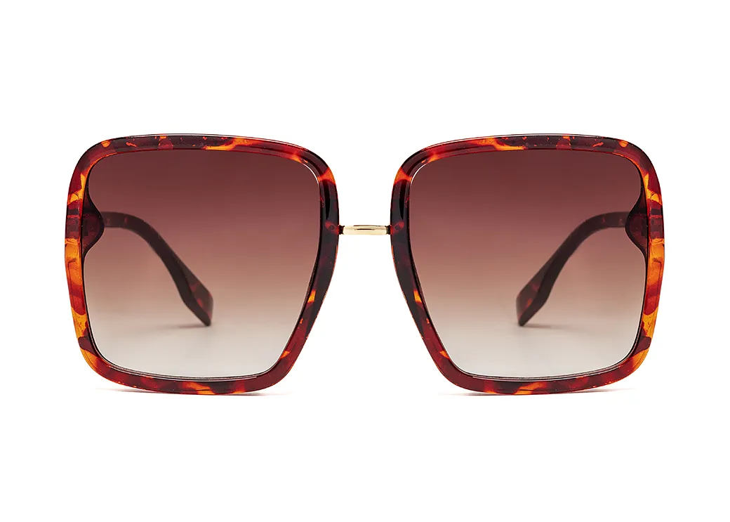 Premium 8190-C2 z etui