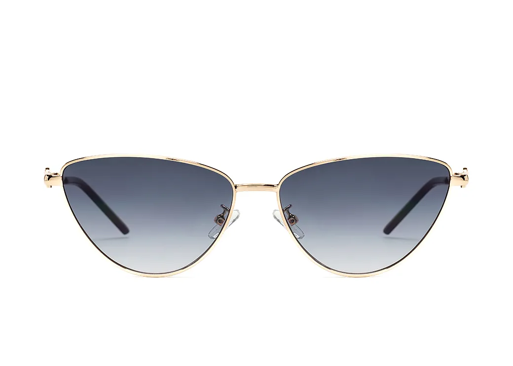 Premium 1181-C1 z etui