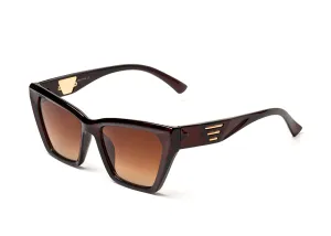 Exclusive Polaryzacja 12042-C2P z etui